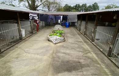 Imagem 2: Casa à venda em Nossa Senhora do Perpétuo Socorro