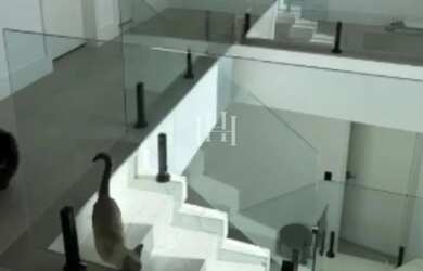 Imagem 11: Linda casa para alugar com 380 metros quadrados com 4 quartos