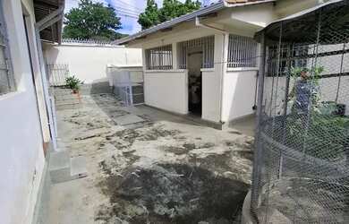 Imagem 8: Casa 3 Quartos + Barracão independente - Lote Plano 384 m2 - Bairro Ipiranga - Belo Horizo