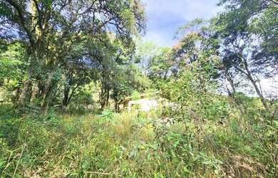 Imagem 6: Sítio / Chácara para Venda em Nova Petrópolis, Linha Pirajá Baixa