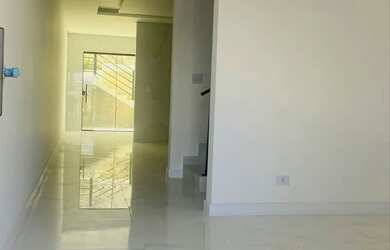 Imagem 7: Germinadores de Alto Padrão