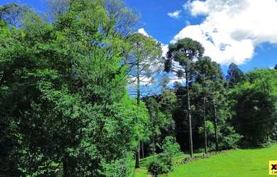Imagem 7: Sítio / Chácara para Venda em Nova Petrópolis, Nove Colonias, 5 dormitórios,...