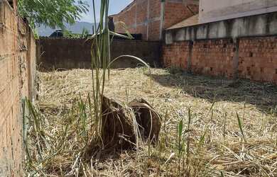Imagem 3: Atenção investidores - Terreno no Bairro Isadora com RGI