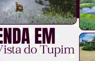 Imagem: A fazenda está localizado em Boa Vista do Tupim, BA à venda