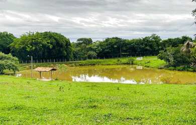 Imagem 5: Chácara de 8 alqueires em bela vista de Goias. 4 milhões avista