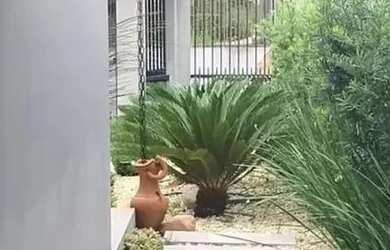 Imagem 7: Vende-se Casa Semi Mobiliada (590,65m²) Jlle, Petropolis, Rua Augusto Ernesto nº 545 R$2