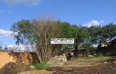 Imagem 3: Terreno industrial à venda, Jardim Boa Vista, Hortolândia