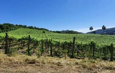 Imagem: A fazenda possui 56.000m² de Área e está localizado em Vale