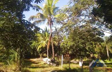 Imagem 6: Terreno à venda, 4500 m² por R$ 180.000,00 - Água do Pari - Jataizinho/PR