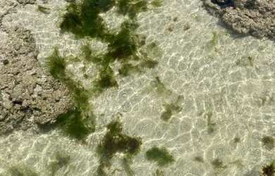 Imagem 6: Casa para venda ou aluguel fds