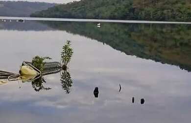 Imagem 7: Terrenos Urbanos e em Chácara
