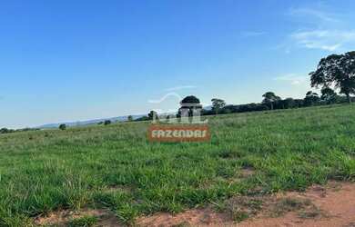 Imagem 3: Fazenda 147,3 alqueires 713 hectares Bom Jardim de Goiás
