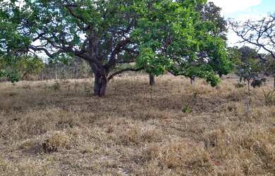 Imagem 11: 11.000 M2 BR 135 Acesso ao Pentáurea