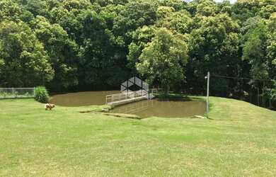 Imagem: Vendo chácara em Forqueta com 20000m2 por R$2.500.000.000,00