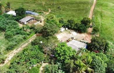Imagem 4: LINDA FAZENDA DE 44 HECTARES A 45 km de Brasília