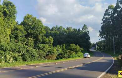 Imagem 5: Sítio / Chácara para Venda em Nova Petrópolis, Canto Ruckert