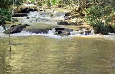 Imagem: A fazenda possui 3000m² de Área e está localizado em Avelinópolis