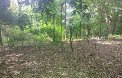 Imagem 12: Lote/Terreno para venda tem 5680 metros quadrados em Jardim Itaipu - Goiânia...