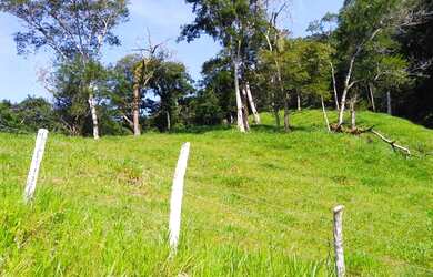 Imagem 7: Rio Friburgo - Guapimirim