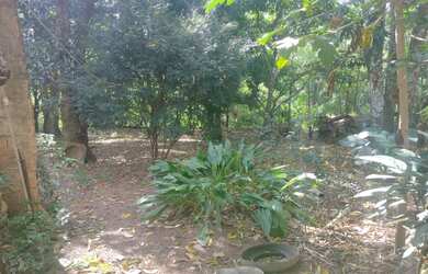 Imagem 3: Lote/Terreno para venda tem 5680 metros quadrados em Jardim Itaipu - Goiânia...