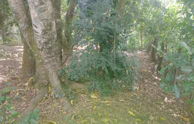 Imagem 16: Lote/Terreno para venda tem 5680 metros quadrados em Jardim Itaipu - Goiânia...