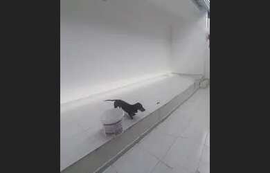 Imagem 1: Casa no parque dez. 2 Vagas na garageme3 Dormitórios