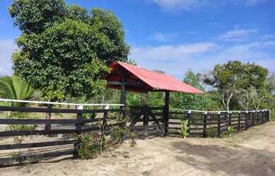 Imagem 2: Vendo chácara. 40.200m² de Área