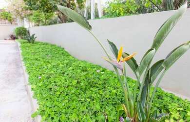 Imagem 6: Casa com 1 dormitório, 180 m² - venda por R$ 2.000.000 ou aluguel por R$ 7.800/mês - Granj