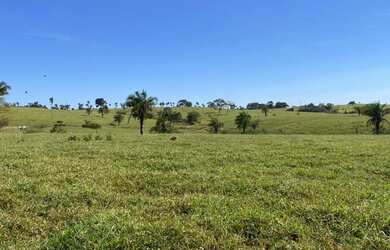 Imagem 12: Fazenda 302 alq. Em são Luiz Goiás e Ivolândia, valor 75 milhões