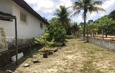 Imagem: A fazenda possui 2.500m² de Área e está localizado em Potengi