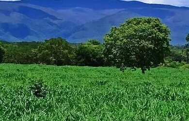 Imagem: Fazenda à Venda em São João d\'Aliança (GO) 120 Alqueires