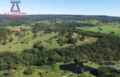 Imagem 13: Fazenda com 1.500 hectares - 20 km de Montes Claros