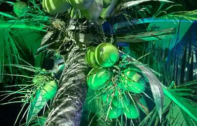 Imagem: A casa possui 2 Dormitórios, 2 Banheiros, 5 Vagas na garagem