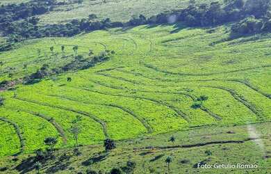 Imagem: A fazenda possui 843m² de Área e está localizado em Centro