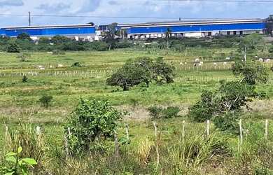 Imagem: O terreno possui 13.068m² de Área e está localizado em Limoeiro