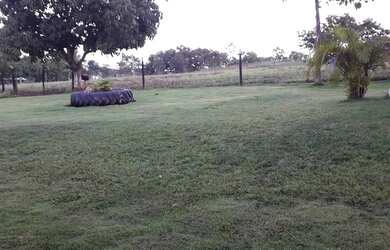 Imagem 3: Sítio / Chácara / Fazenda Unai