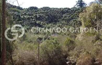 Imagem 3: TERRENO EM CONDOMINIO FECHADO EM CANELA