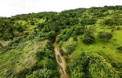 Imagem: A fazenda e está localizado em Loteamento Tropical Verde, Goiânia