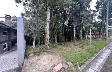 Imagem 4: Terreno - Bairro Carniel. 390m² de Área