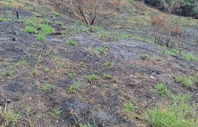 Imagem 2: Terreno POLIVALENTE. 840m² de Área