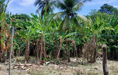 Imagem 6: Lote de 200 m² em Morro de São Paulo