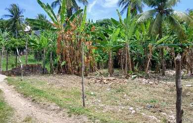 Imagem 7: Lote de 200 m² em Morro de São Paulo