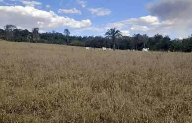 Imagem: A fazenda possui 6m² de Área e está localizado em Anicuns