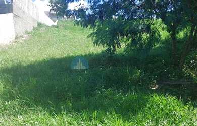 Imagem 6: TERRENO COM VISTA ESPETACULAR