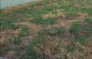 Imagem 3: Terreno à venda, 140 m² por R$ 204.000,00 - Jardim Sarapiranga - Jundiaí/SP