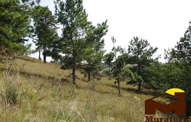 Imagem 14: Lotes a venda. 7.941m² de Área