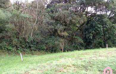 Imagem 2: CAXIAS DO SUL - Terreno Padrão - São Victor COHAB