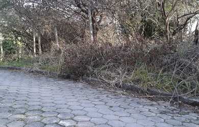 Imagem 2: Terreno na Siriúba com 1.200m² em Ilhabela