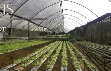 Imagem 14: CHACARA RURAL em BRAGANÇA PAULISTA - SP, CURITIBANOS