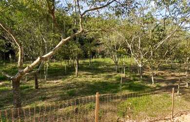 Imagem 8: Compre sua casa na planta e receba já pronta para morar Urbanova